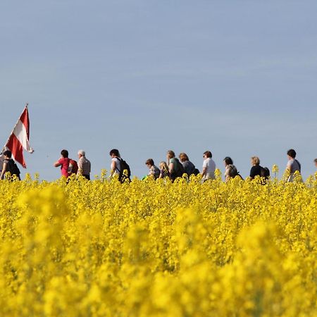 Oekonomiehof Leilighet Lichtenfels  Eksteriør bilde
